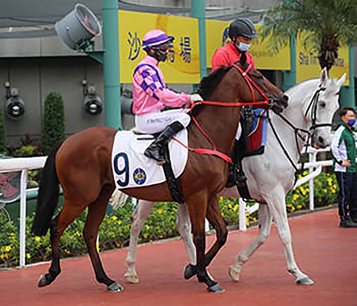 Running Glory seals treble for Size