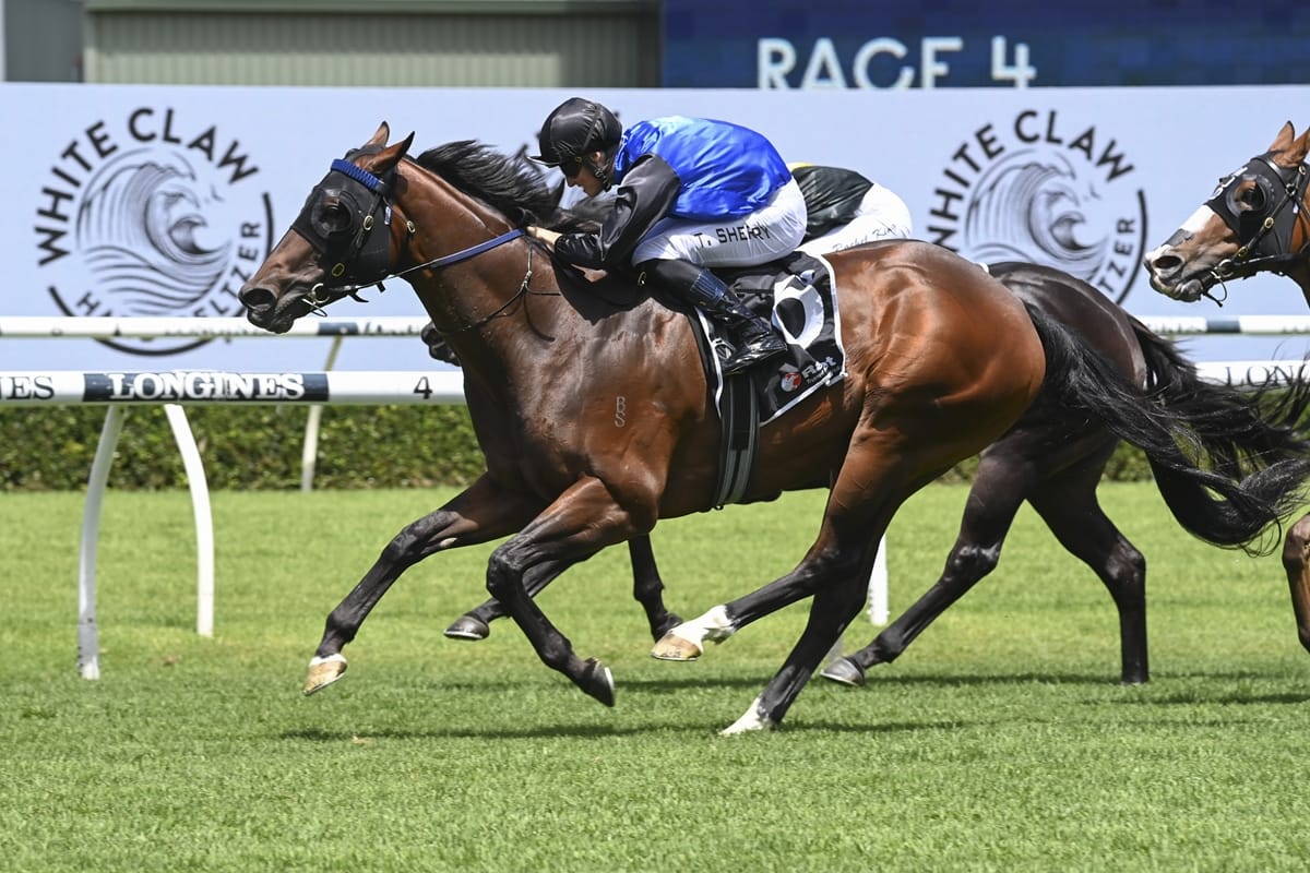 Slick Shadow Crush wins again