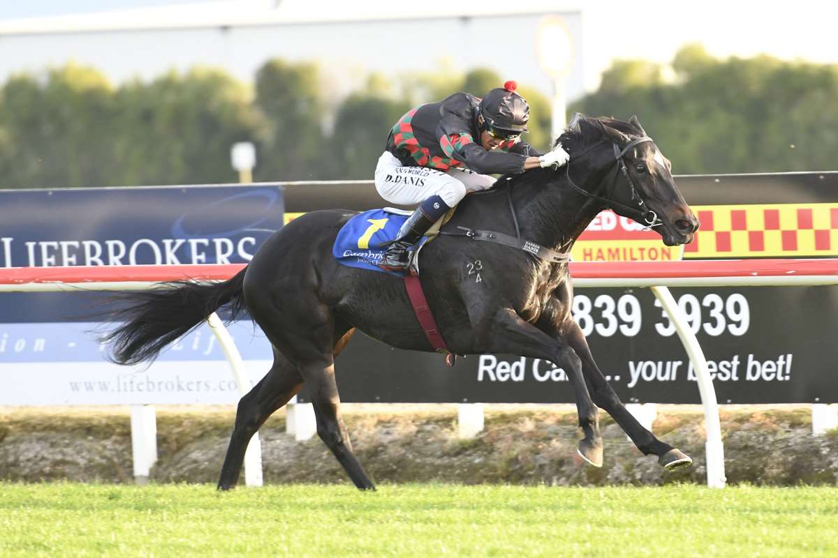 Short Fuse a must have for Muollo