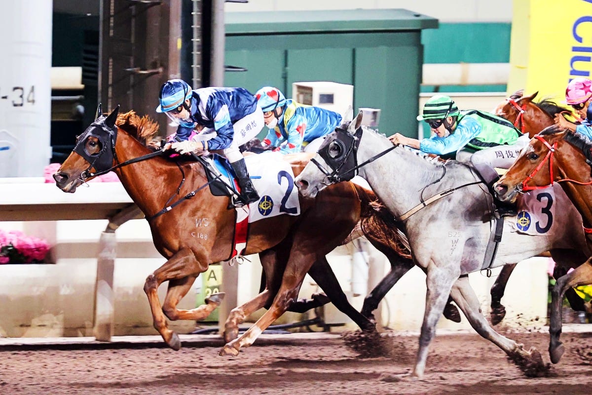 Sha Tin double for Per Incanto