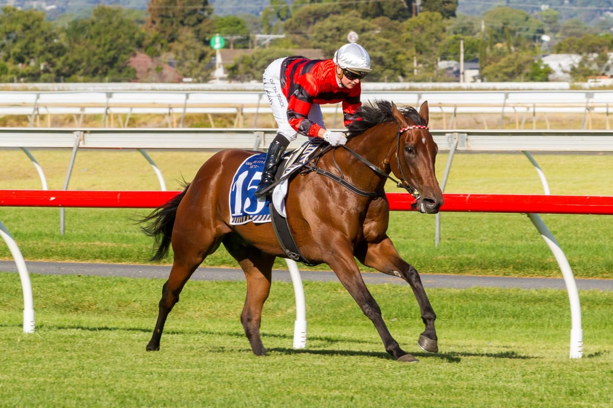 McDonald hunts G1 win with Girl