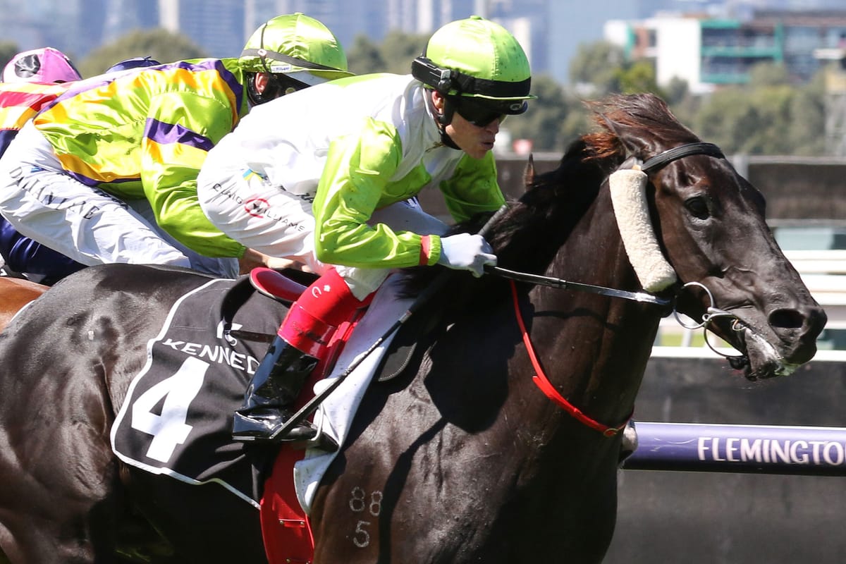 Blandford Lad back in the winner’s circle