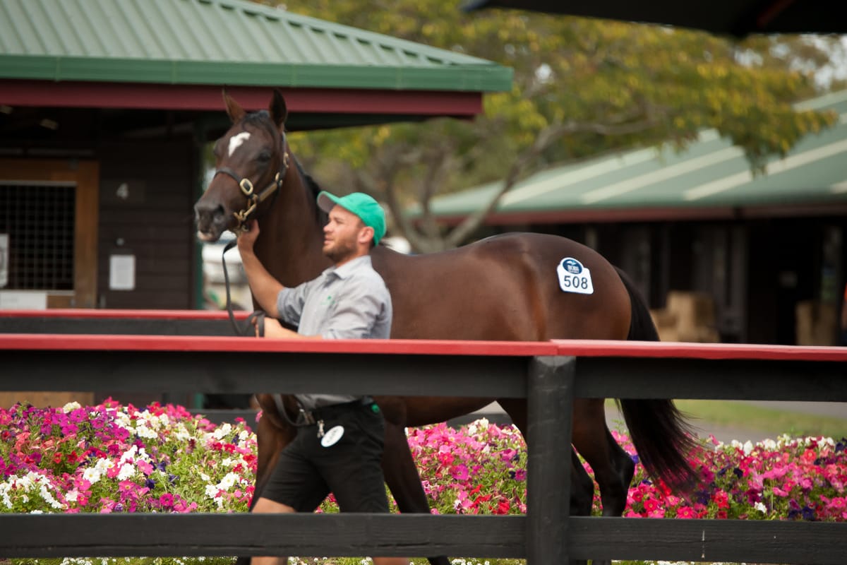 Electric Conclusion to Book 1