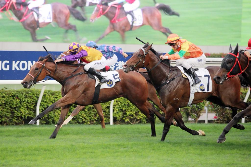 Eternal Bloom another Turn Me Loose winner