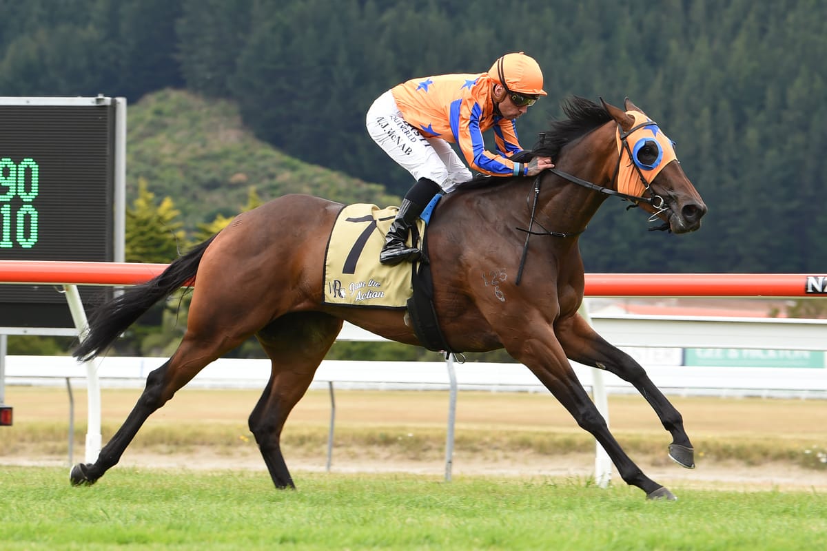 Festivity live on Gavelhouse Plus