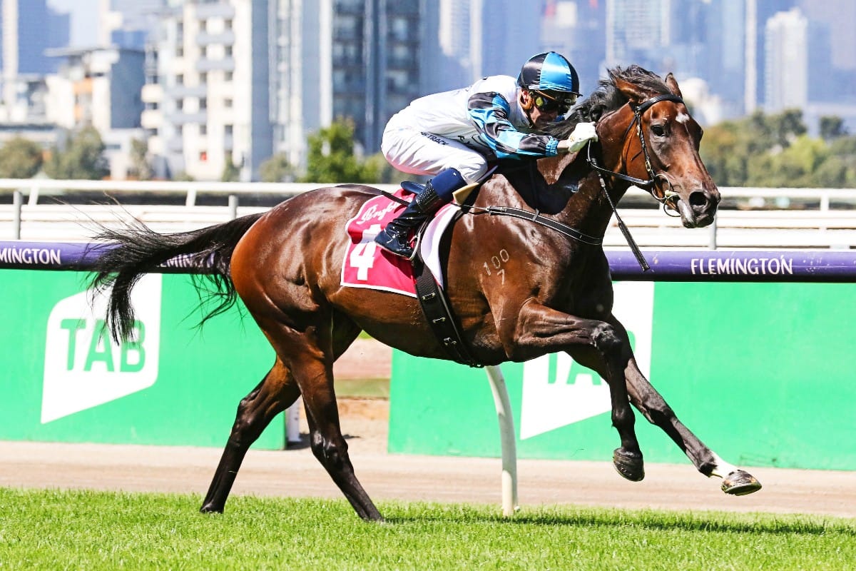 Flying Mascot still spelling