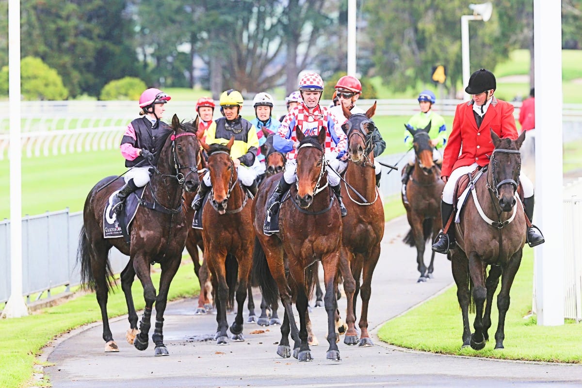 Tauranga transferred to Sunday