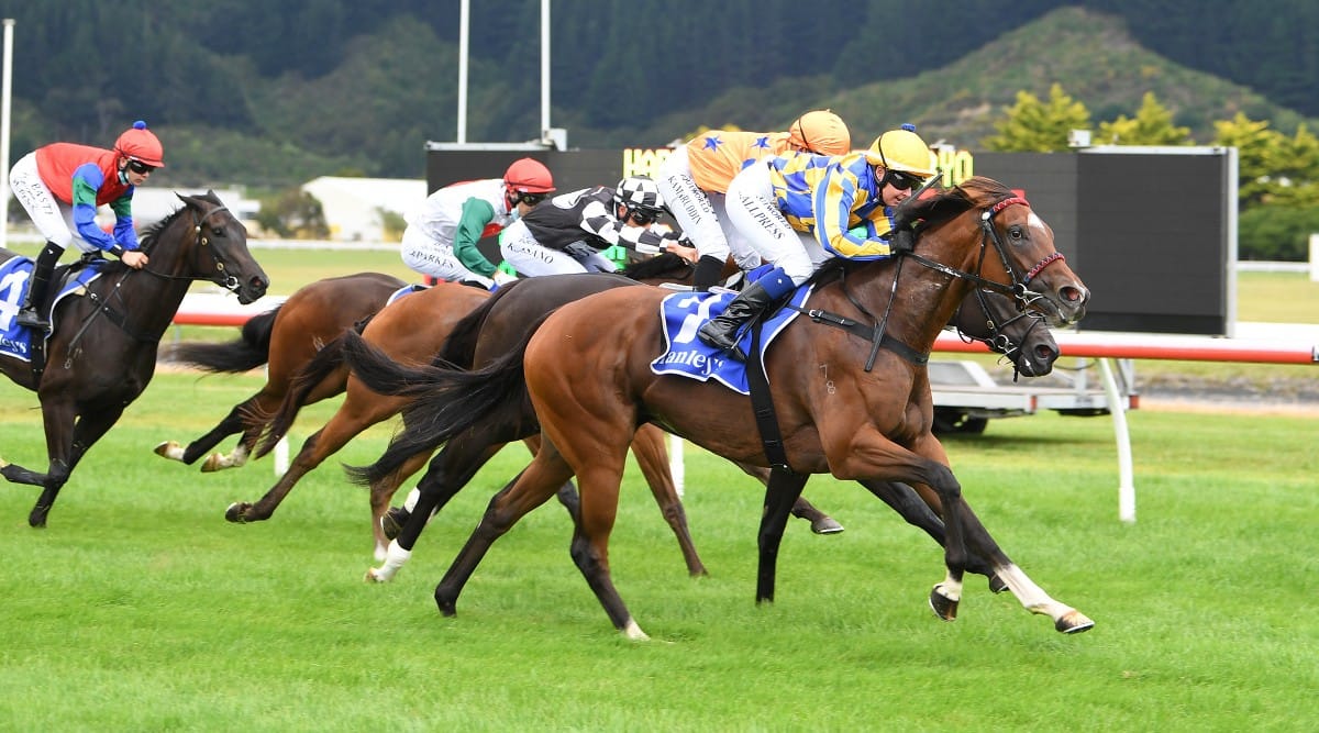 Gucci Belt doubles up at Trentham