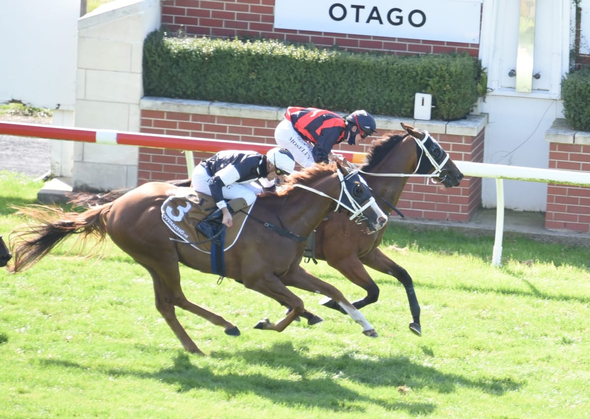 Price eyeing stakes targets with Henley