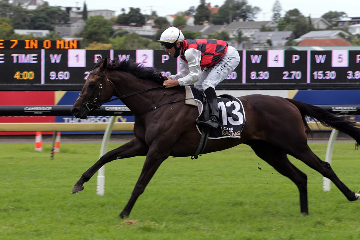 La Crique on song for Derby