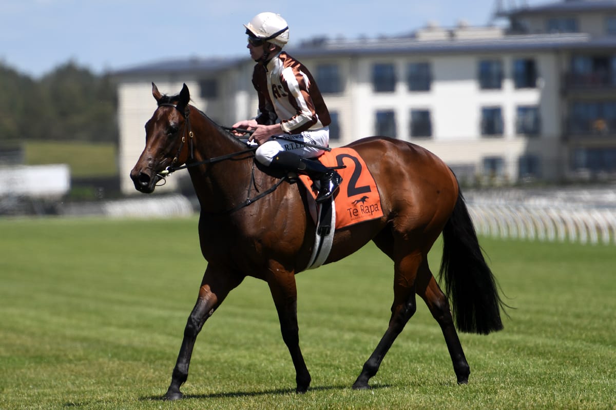 Levante to make Australian debut