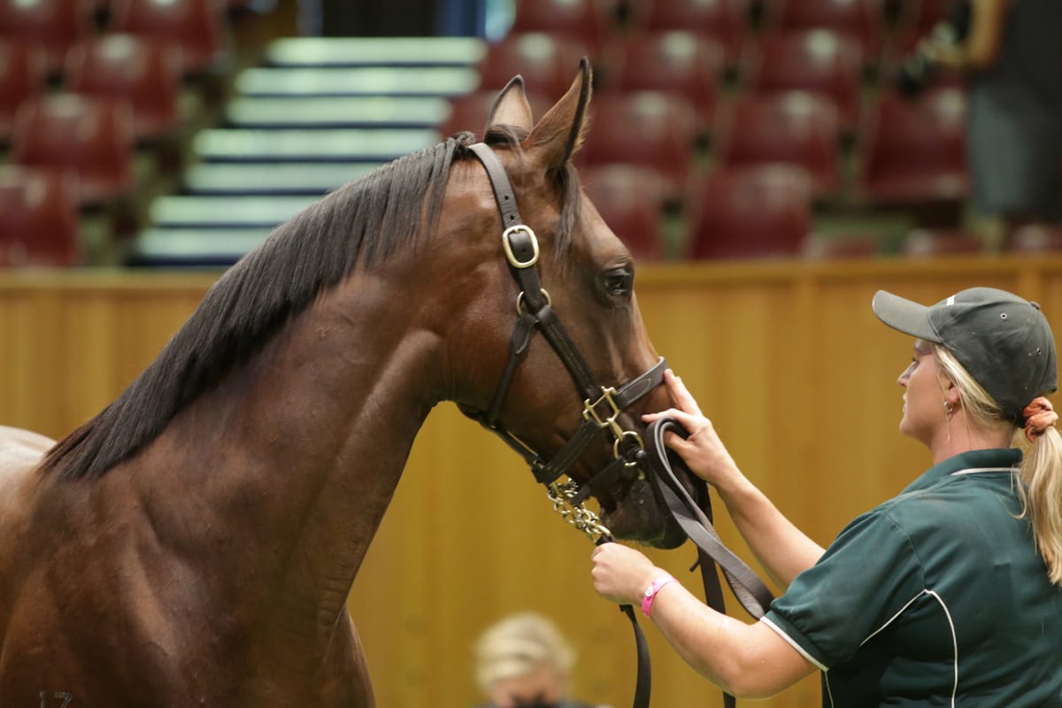 Fastnet Filly Tops Day Two