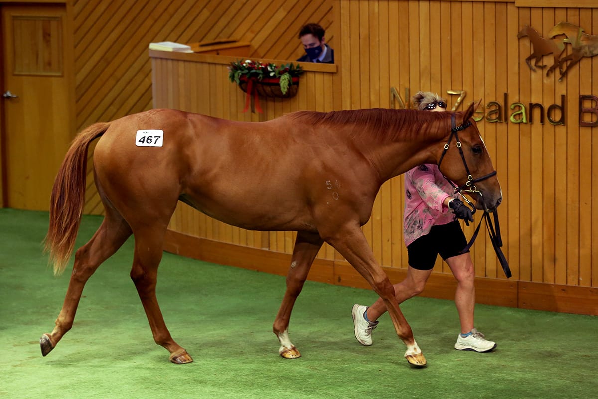 Busuttin and Young active at Karaka
