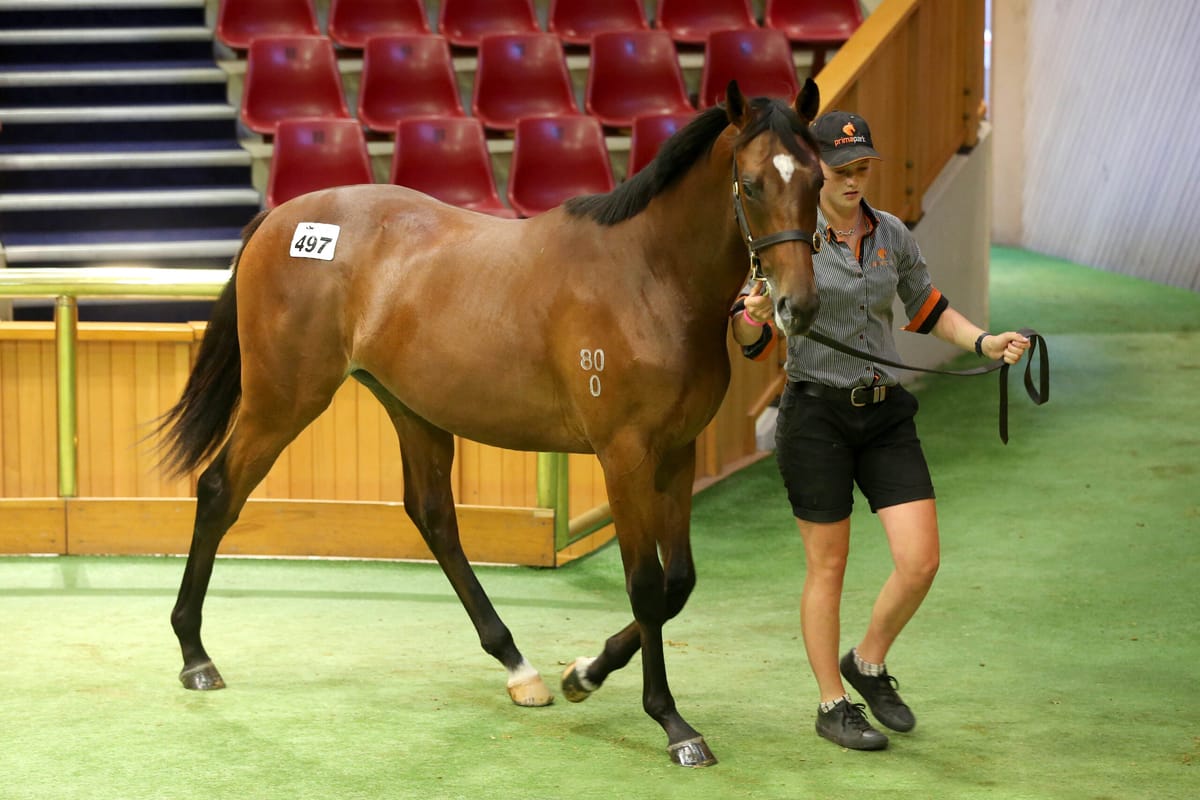 Ritchie renews Jennifer Eccles connection