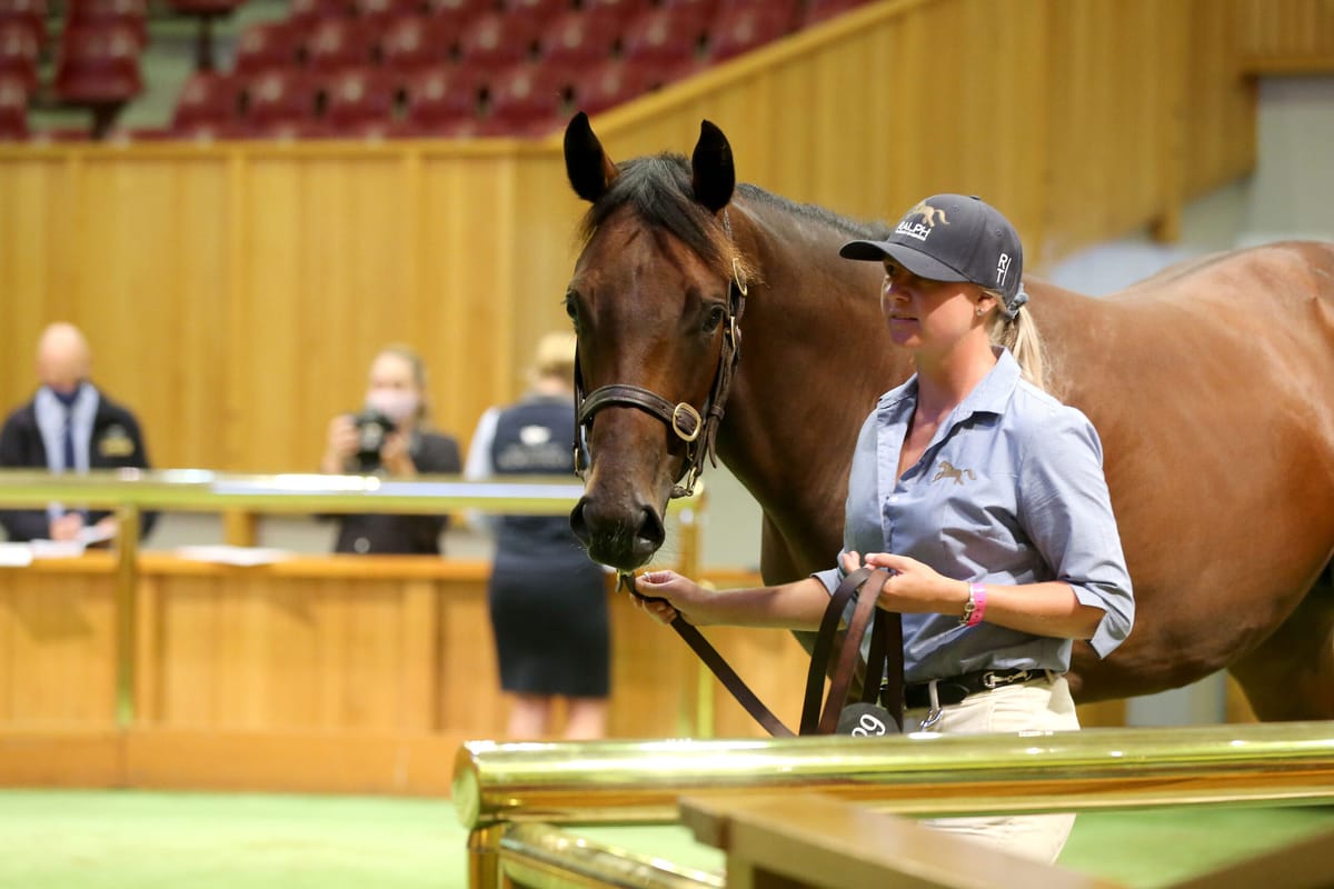 Crawford in the thick of the action on day four at Karaka