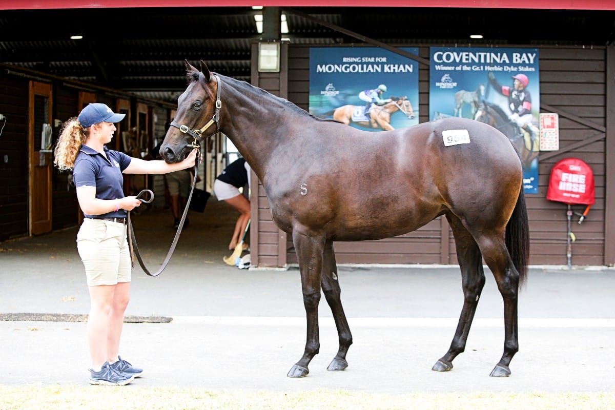 Windsor Park Stud filly tops day five at Karaka