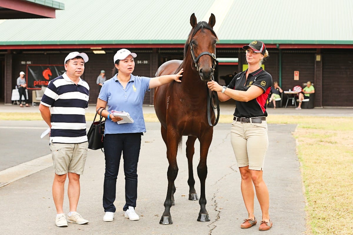 Local Chinese owners keen on Almanzor colt