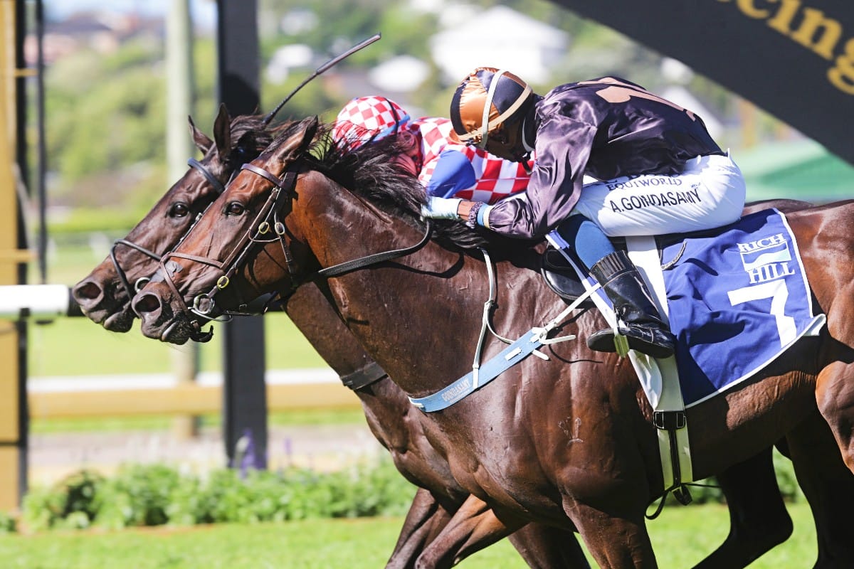 Australian campaign for Mali Ston