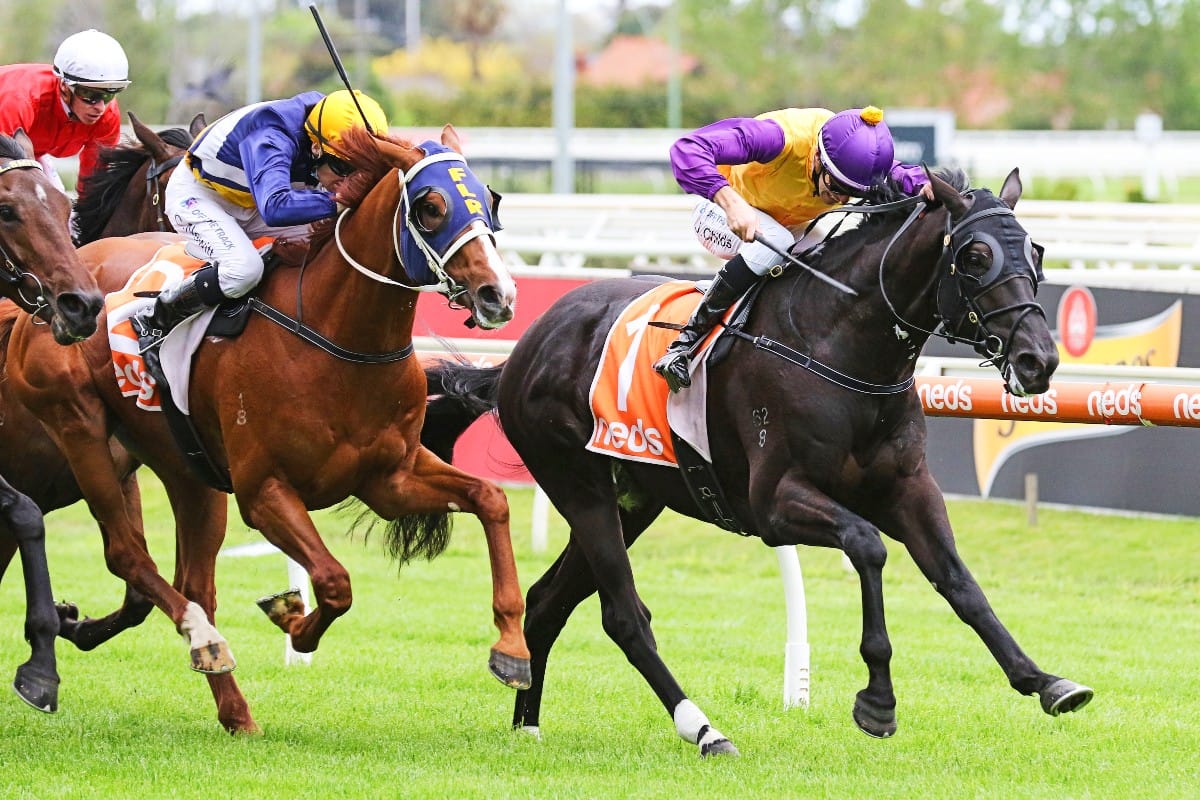 Browne looking to remedy fast-charging Rhinoceros