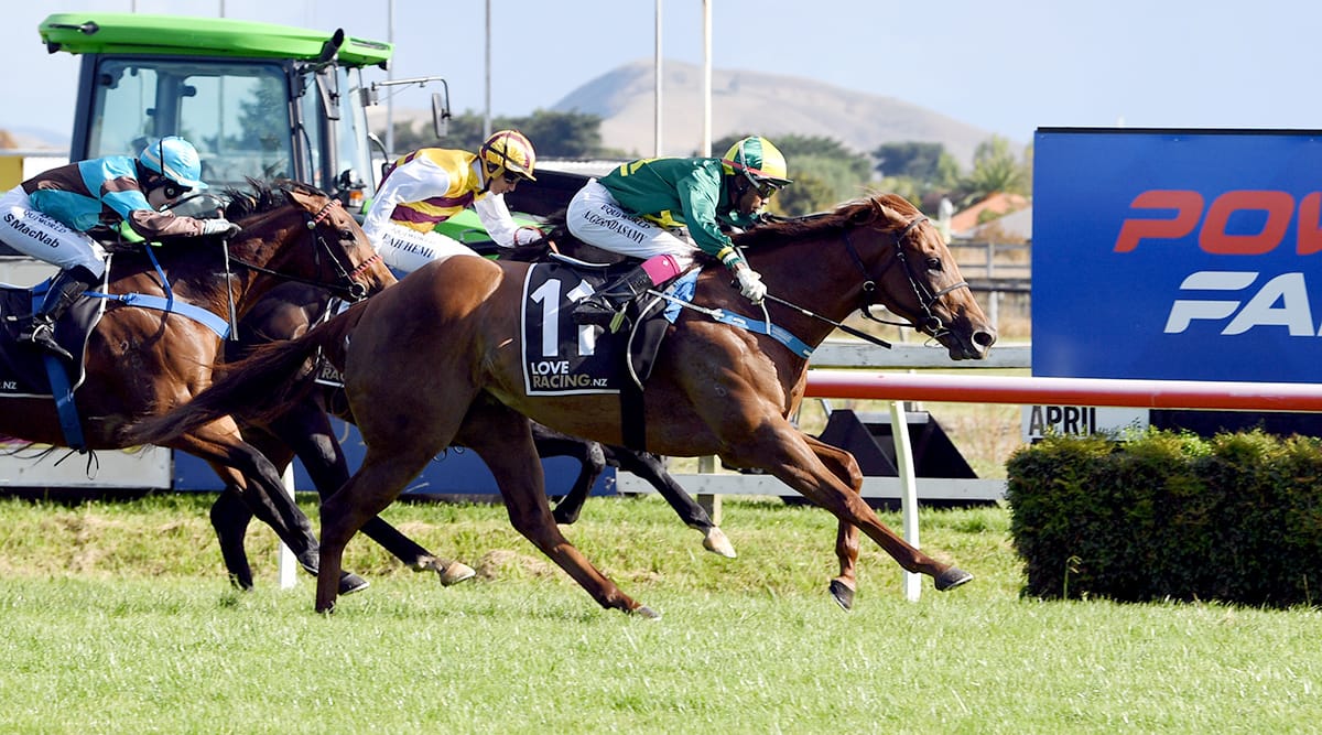 Roch ‘N’ Horse set for Newmarket assignment