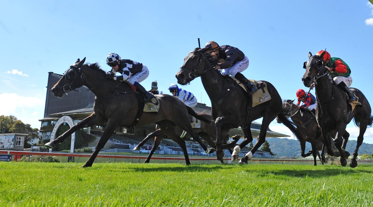 Broodmare paddock looming for Sinarahma