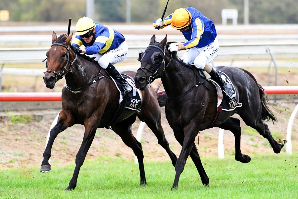 Turn Me Loose filly gets the Cream at Pukekohe