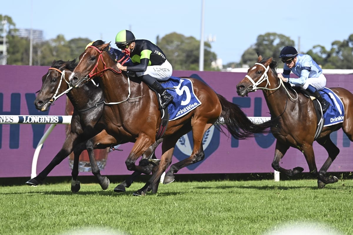 Stockman scores Sky High Stakes