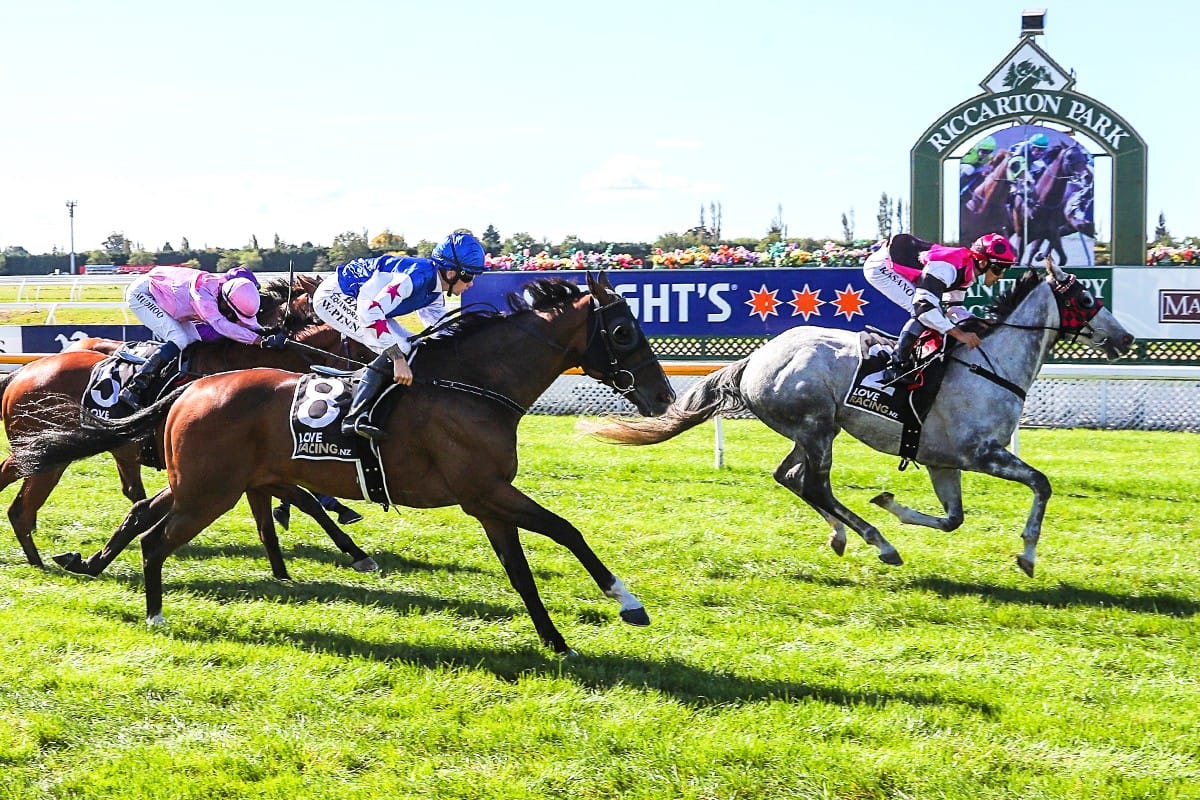 Satisfying return from injury for Tobilicious