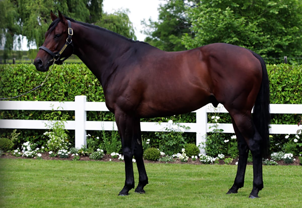 Almanzor continues strong run