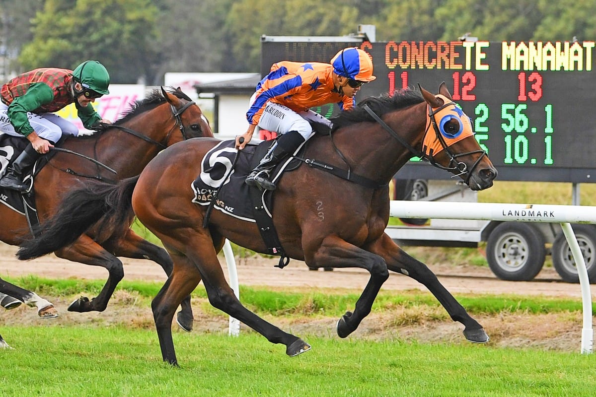 Amalfi Prince to chase bigger targets