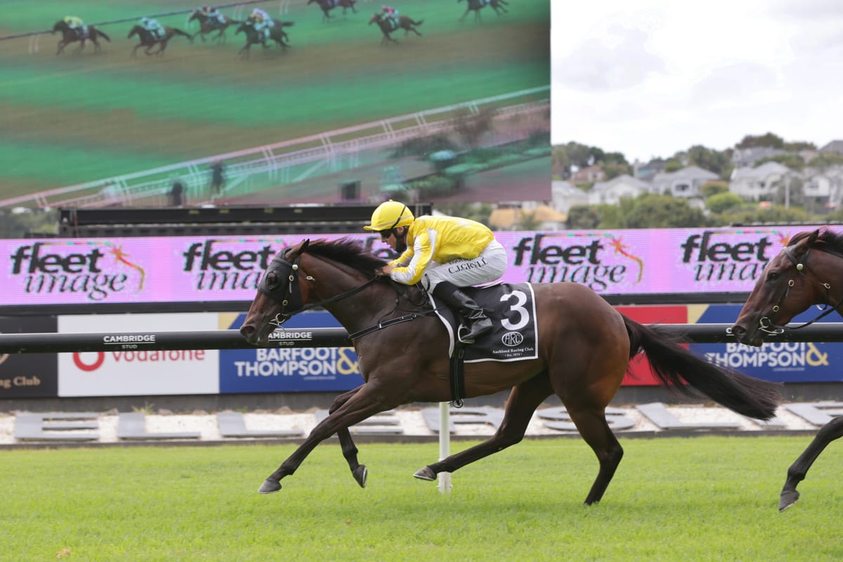 Bonny filly ready for Breeders’ Stakes