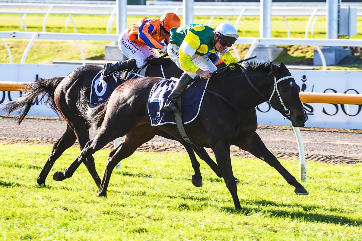 Burgie crashes Reputabelle’s party in Warstep Stakes