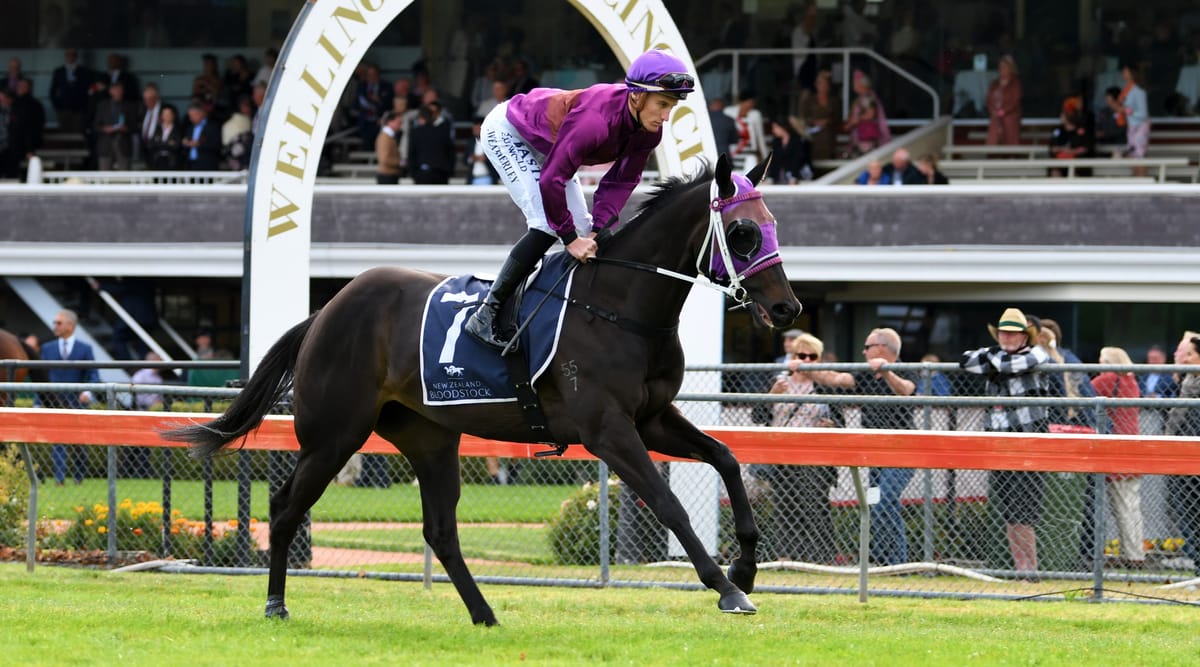 Group One performer heads Latta’s Awapuni arsenal
