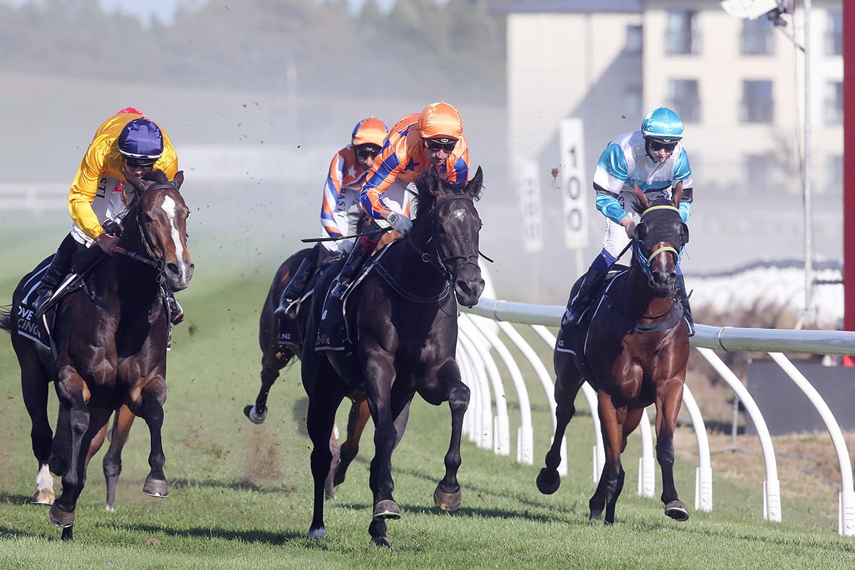 Big Walker contingent for Cambridge Breeders’