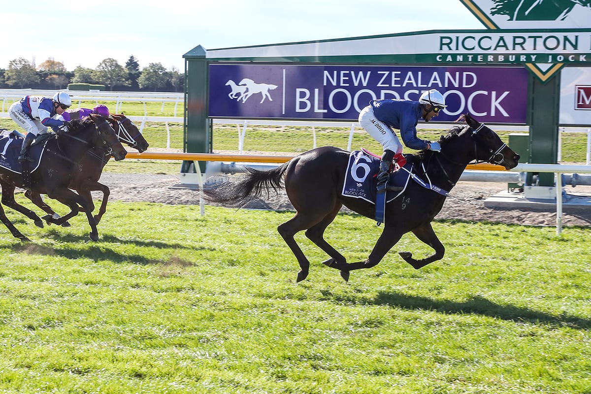 Defiant victory confirms stakes target for promising juvenile