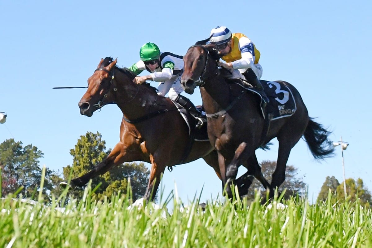 Pike ready to confirm his Queensland winter carnival team