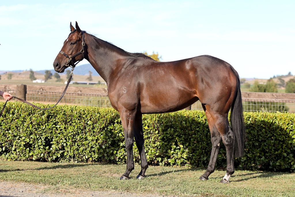 Festivity comes full circle