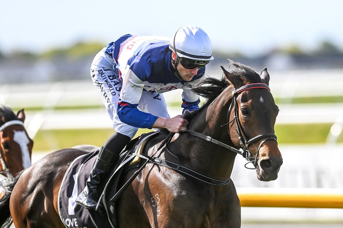 Hasabro primed for Riccarton feature