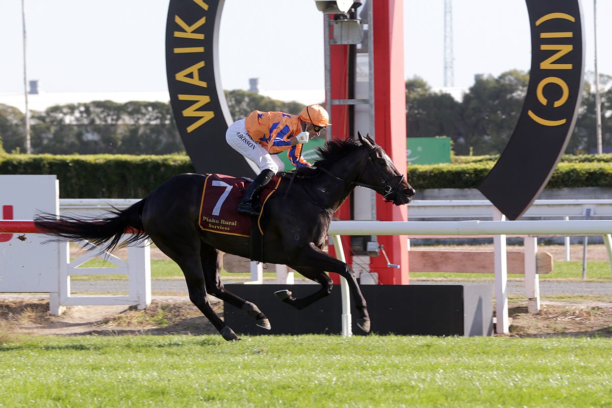 Star filly too good for older rivals in Thoroughbred Breeders’ Stakes