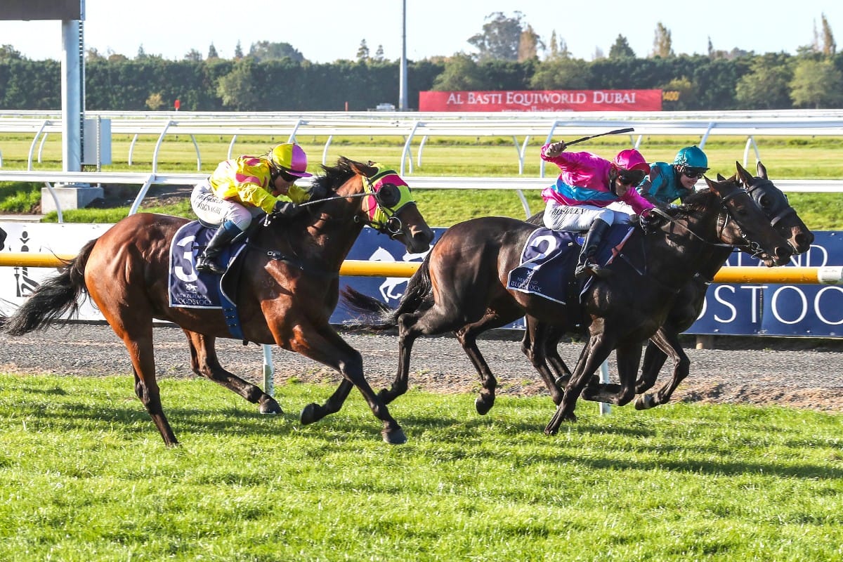 Game Irish Girl lands another Riccarton feature