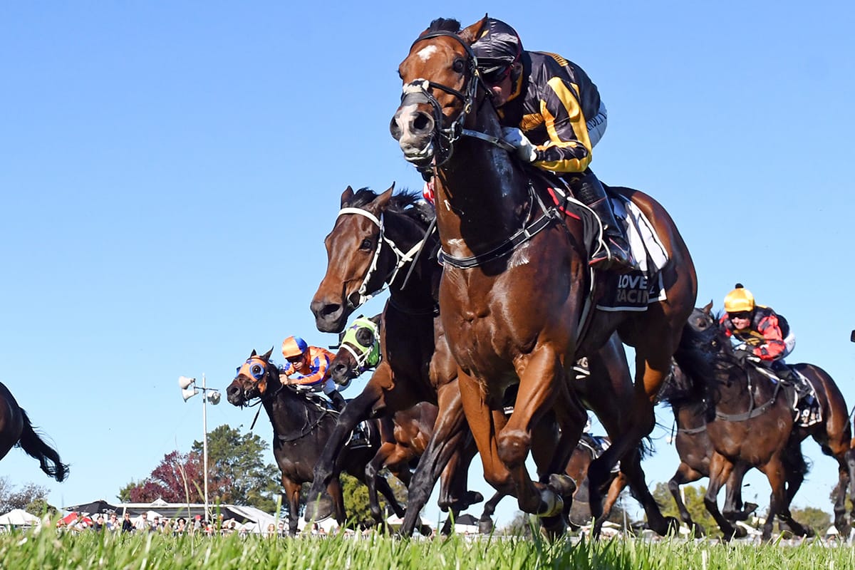 Johny Johny too slick in Hastings sprint