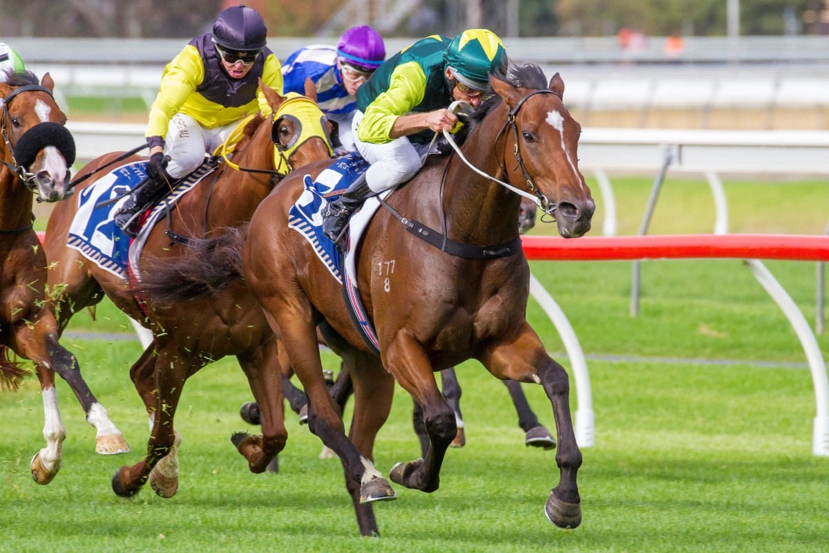 Jungle Magnate enhances Derby credentials