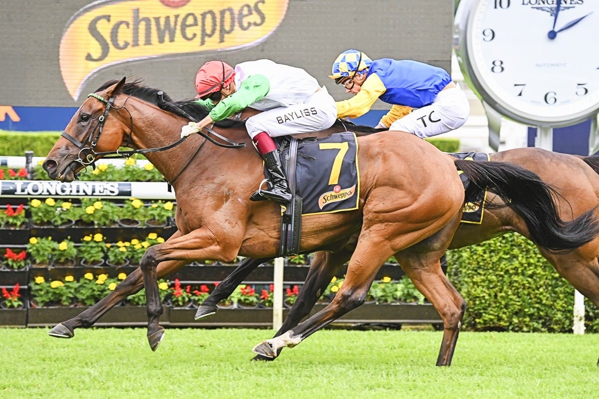 Moroney mare shows Verve in Chairman’s victory