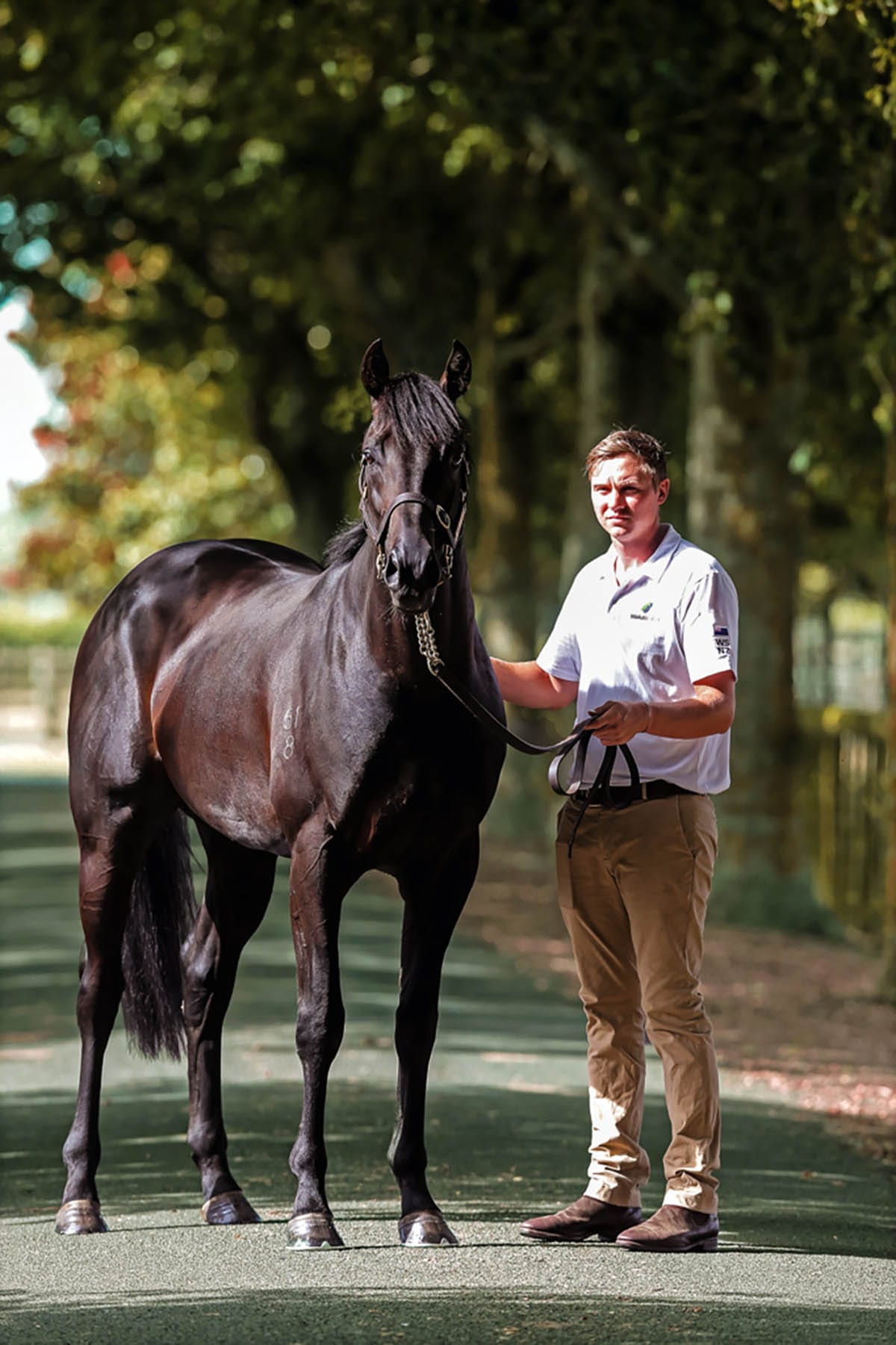 Waikato Stud announces 2022 stallion roster