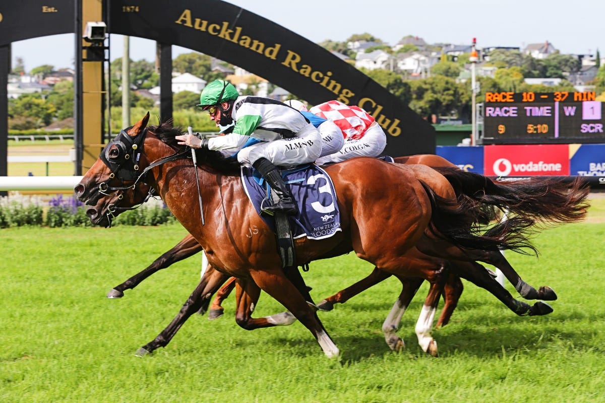 Pike quintet head to Avondale