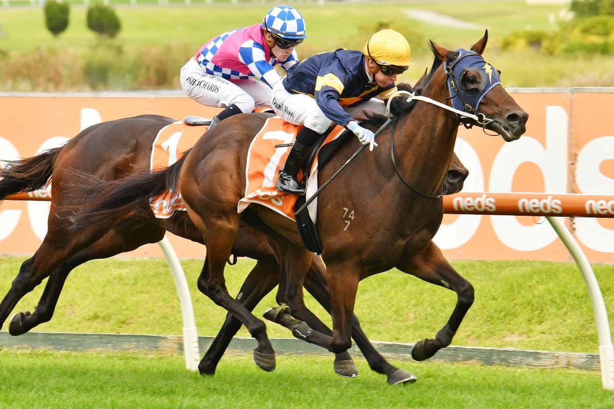 Tavistock 4YO strikes at Caulfield