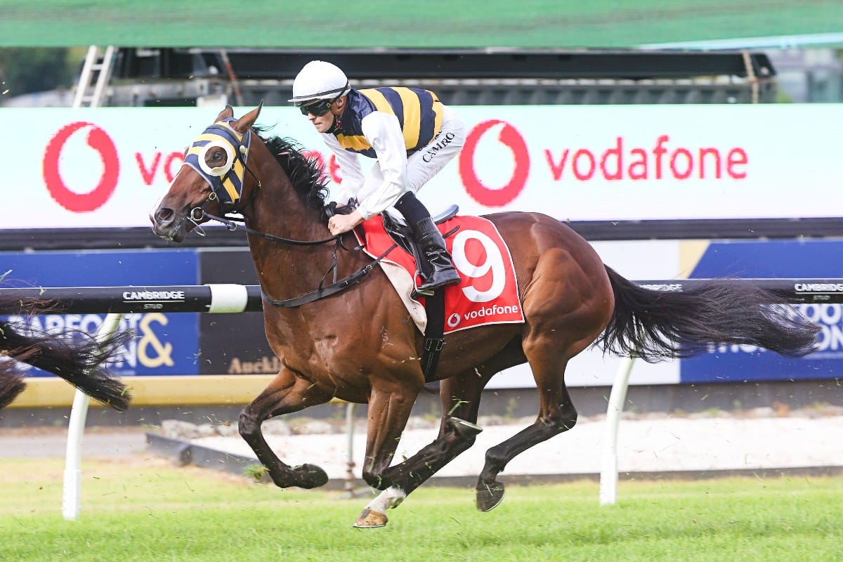 Regal Lion puts Redcraze Racing in the spotlight