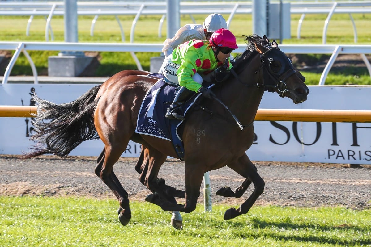 Star Pitman filly set to enhance her reputation