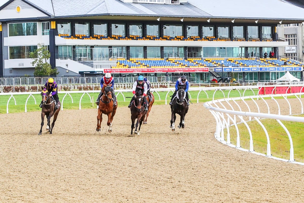 Preview of Riccarton Polytrack