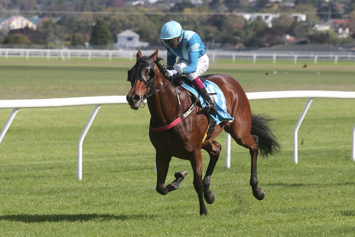 Rionach too strong on debut at Avondale